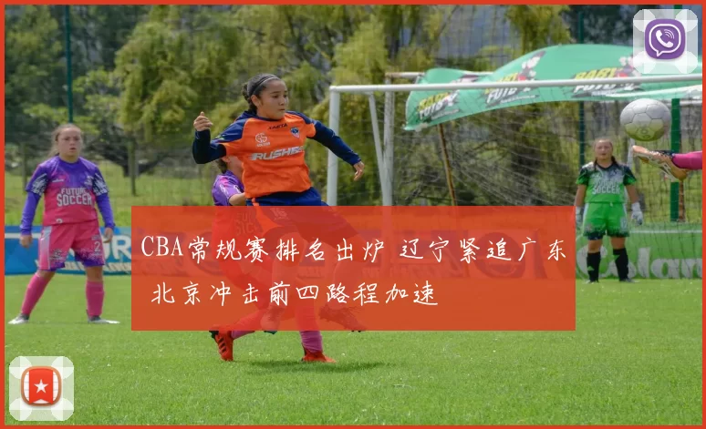 CBA常规赛排名出炉 辽宁紧追广东 北京冲击前四路程加速
