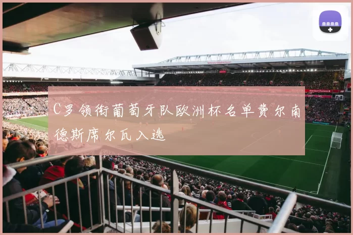 C罗领衔葡萄牙队欧洲杯名单费尔南德斯席尔瓦入选