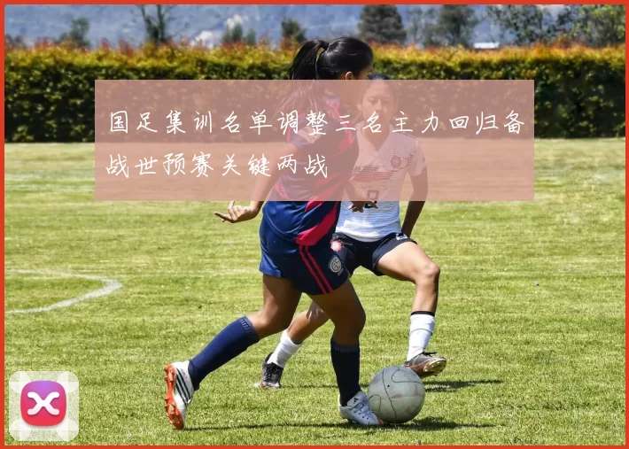 国足集训名单调整三名主力回归备战世预赛关键两战