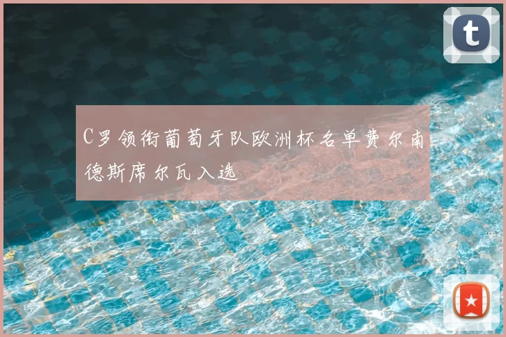 C罗领衔葡萄牙队欧洲杯名单费尔南德斯席尔瓦入选